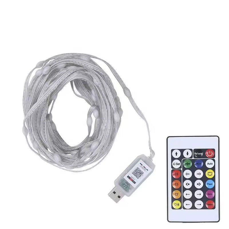 10m Smart RGBIC LED Strip Light Remote