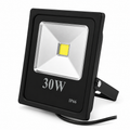 LED COB Floodlight 30W IP66 – Waterproof Outdoor Light (Daylight, Warm White, Blue, Purple & RGB)