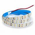 LED 2835 Strip Light 24V DC 5m | 17.3W/m | ACE Lebanon