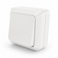 Surface-Mounted One-Way Switch 10A 250V  Lebanon